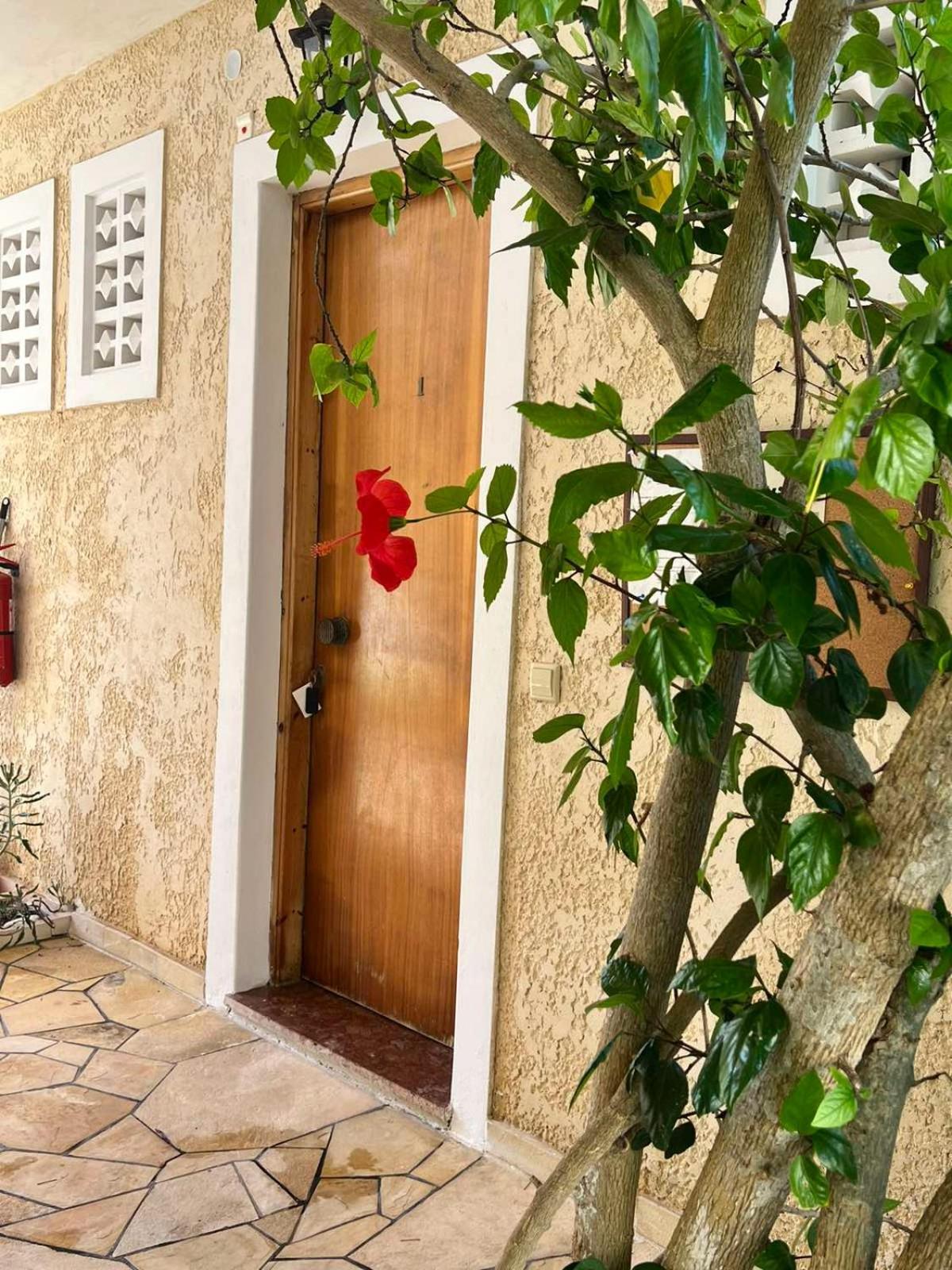 Vasiliki Apartments Лакка Экстерьер фото